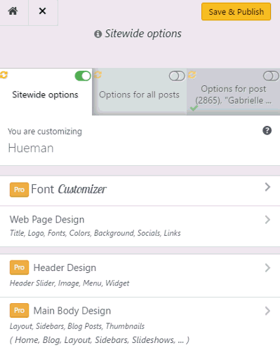 Hueman Pro theme feature skope