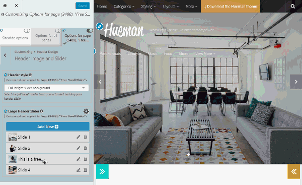Hueman Pro theme feature pro_header