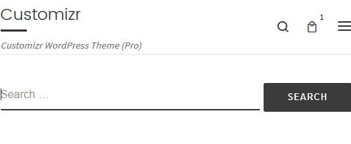 Search form in Customizr theme